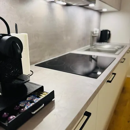 Niro I Exklusive Residenz - Historischer Ballsaal Lägenhet